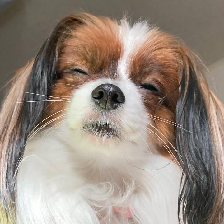 49fe9915 b3e8 4911 964f be9f432f8036 1646384718651