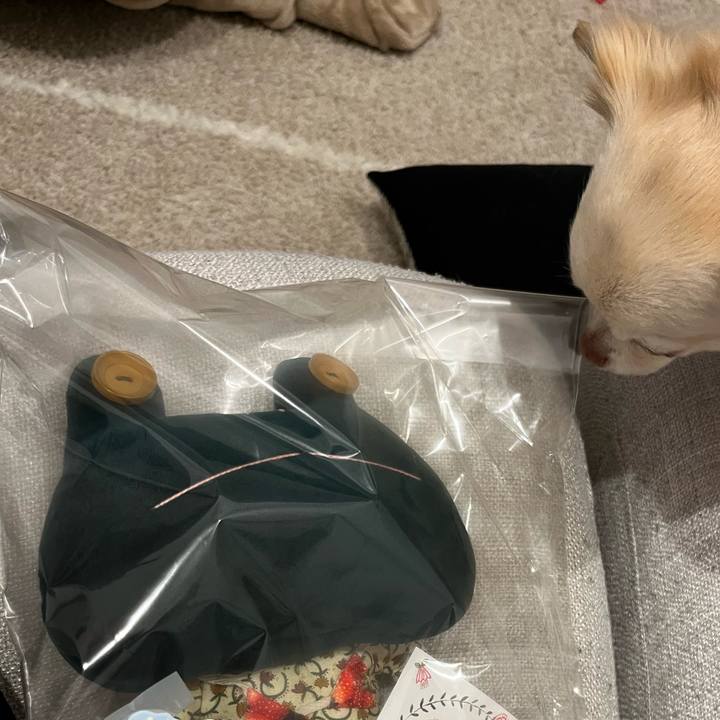 49fea1ef 0872 4167 9ca7 4780db8cadc2 1746092498419