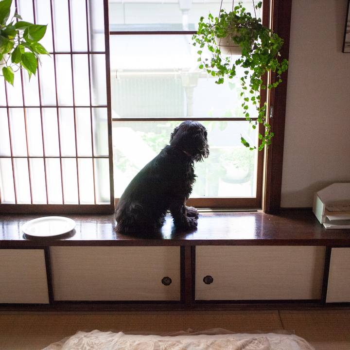 49fec080 1763 4c0d 9f47 07805dd33663 1582800257602