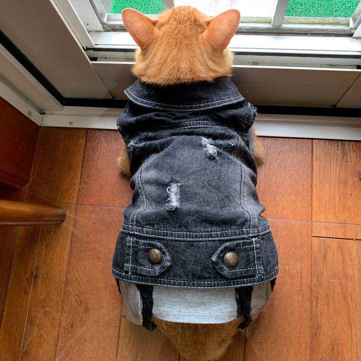 49fed73d 4ad4 4ee6 92a4 93c96783bf80 1657836263443