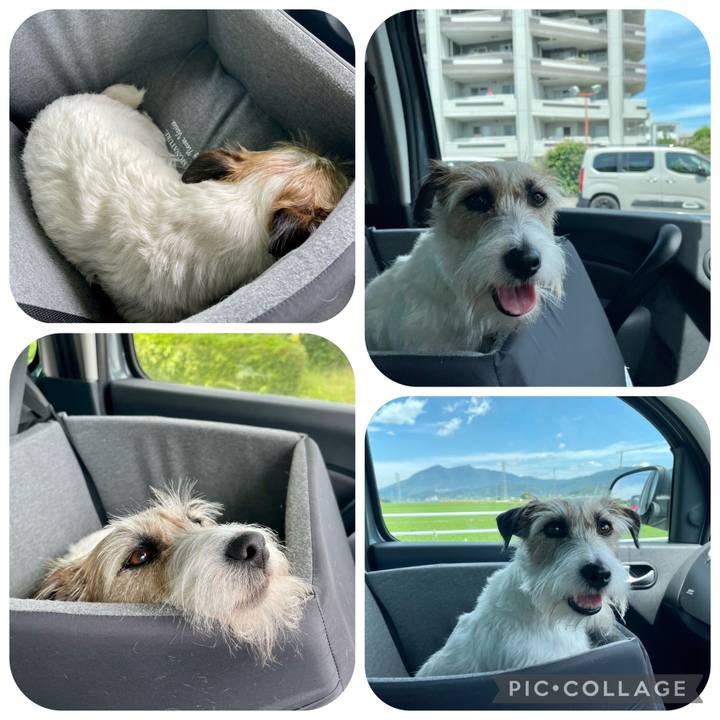 49ff0884 0967 4395 979e 0e540fd6deac 1655088388119