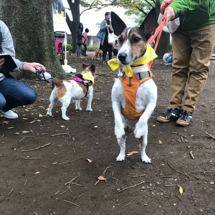 49ff0e28 e6b4 45c7 9594 a52f28c811f4 1509155156939