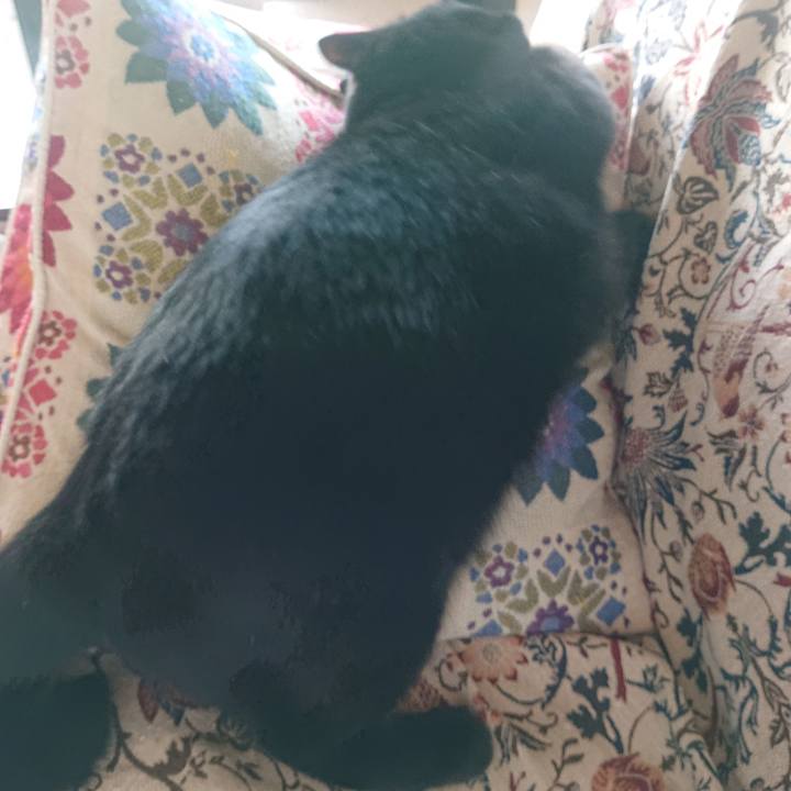 49ff1bd4 4784 4601 b11d 0048e35a0757 1714261393126