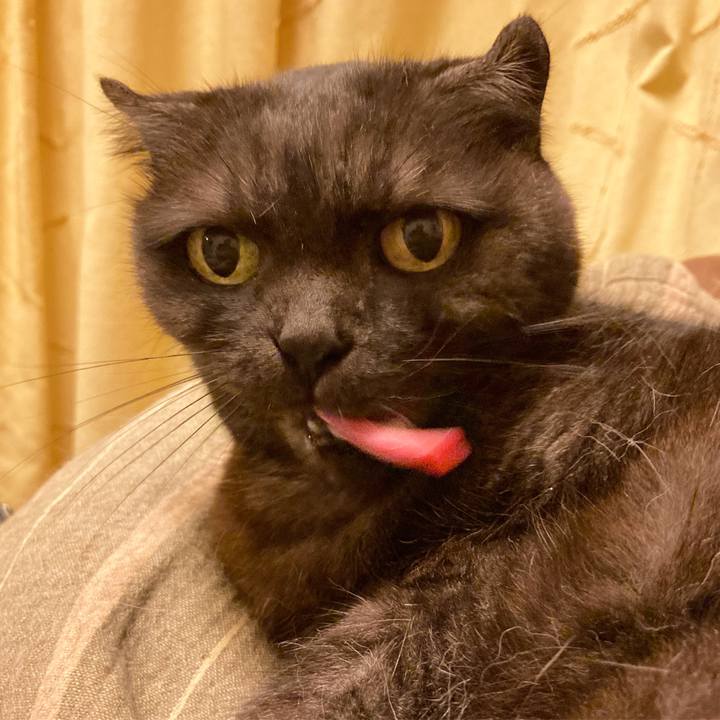 49ff6e4e 4ca2 46ec b863 0945294bc0f0 1592843040971