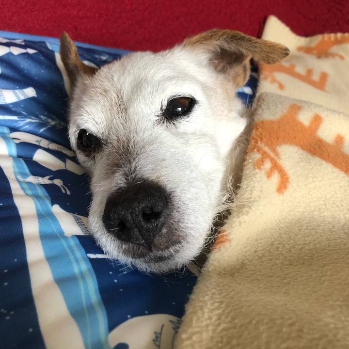 49ff727b 885f 44ce a6d0 1acb14386fd0 1651412025126