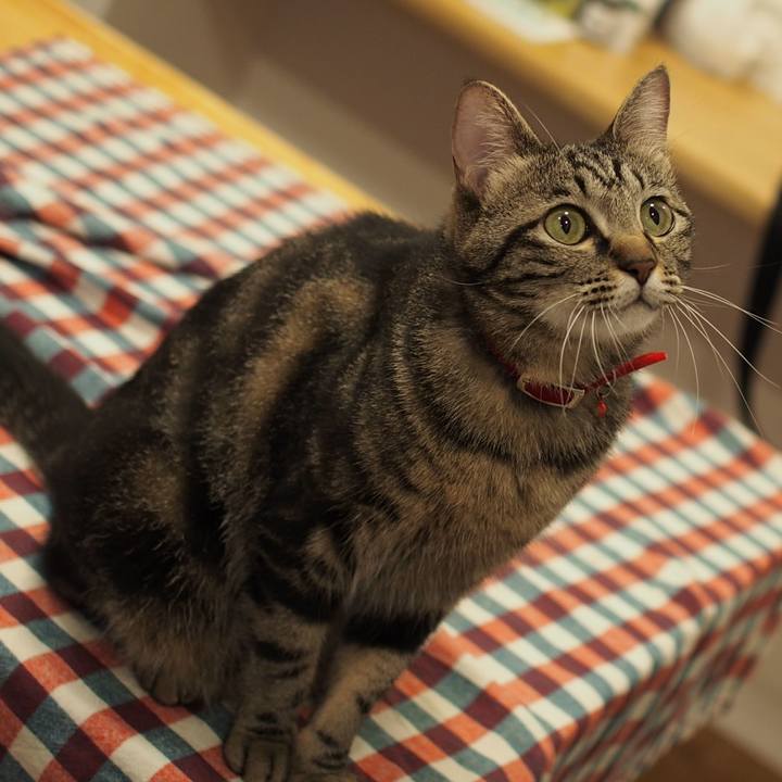 49ffdbc2 948b 4887 95c4 a403a5823b4e 1563373017268