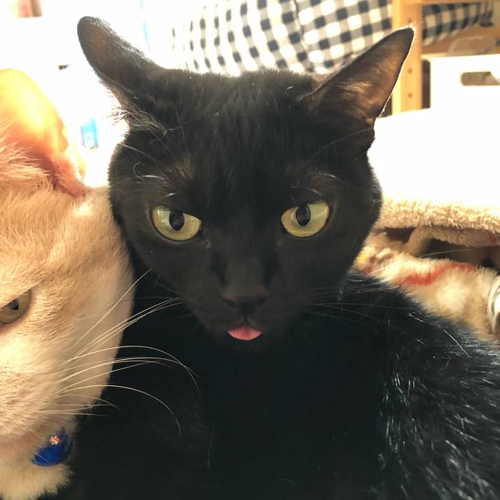 49ffecc5 5ee2 4906 9b2a 42b90c257eb5 1556586114583