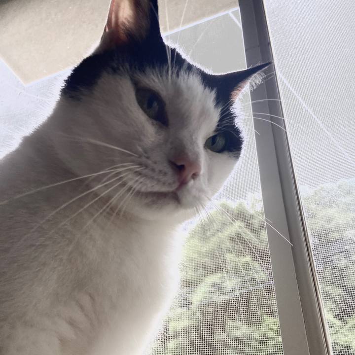 4a0005b5 0f32 48bf a3de aea5314224d6 1593259650940