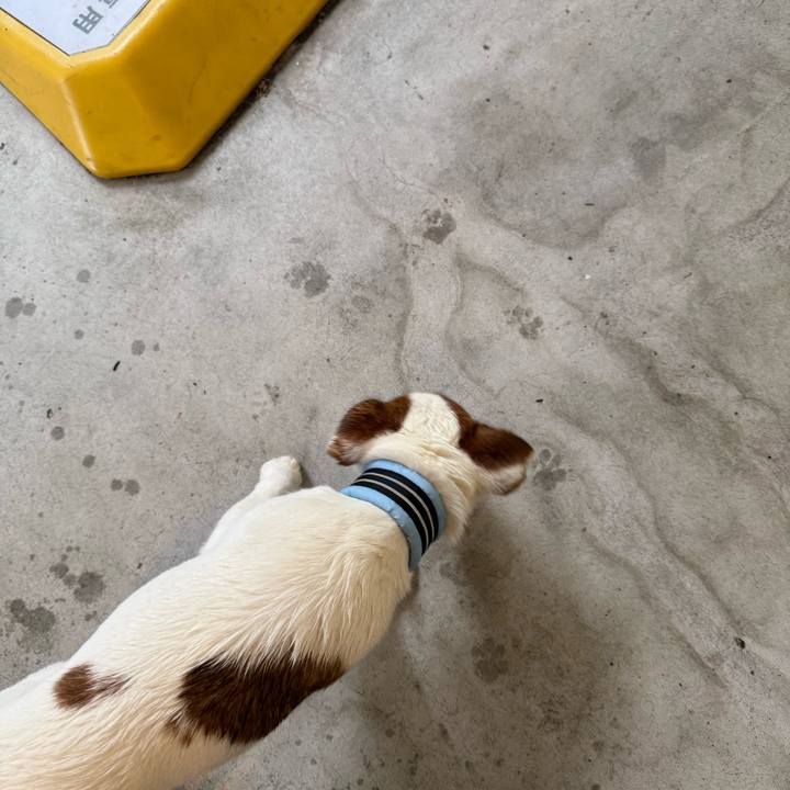 4a001744 9ee3 4f5c b32c 8b19ee4ae17b 1747438630870