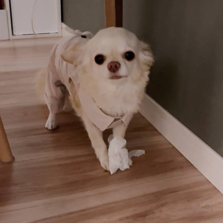 4a0027e5 7ab8 4a2b 8abb 2161bf19142c 1696767803815