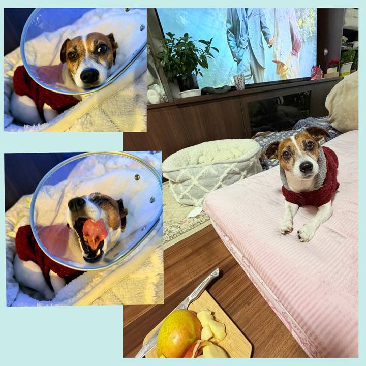 4a0055d2 d5a9 47cc b5e3 1cc1d343a41c 1766530322902