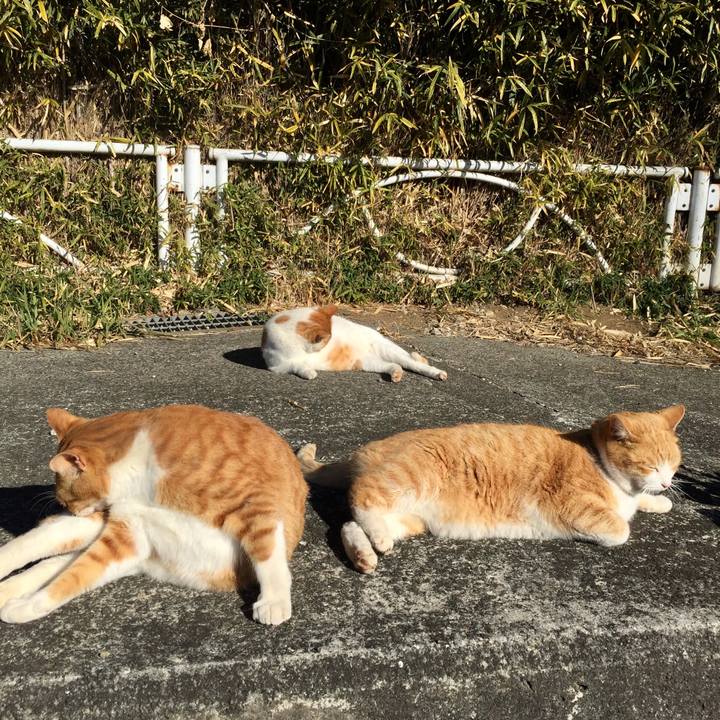 4a005f67 ac95 435b 9b3f 8be7d81a37ca 1514469148289