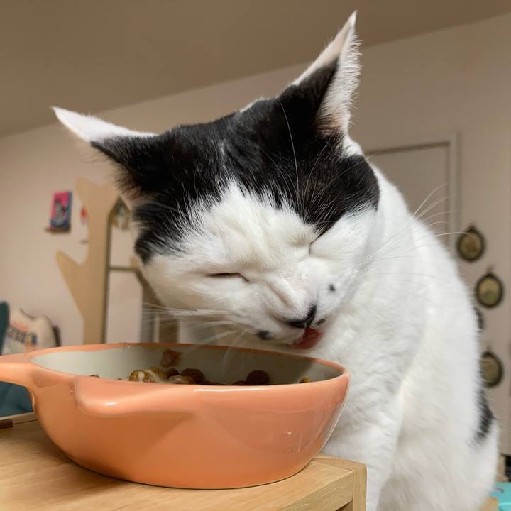 4a0067a2 4c9a 4142 8699 23f066a2dde7 1766263207790