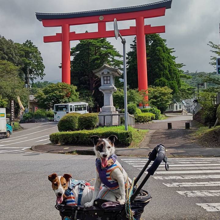 4a00729e df0d 480a bfcf 83f622125a17 1691813495576