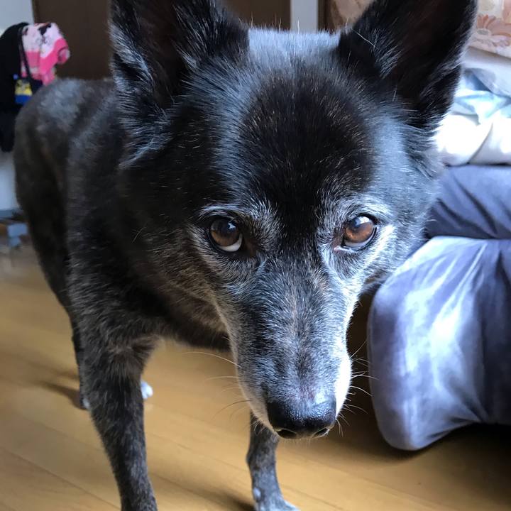 4a00b045 7194 4b17 aa4b c0e088f615c3 1572073485475