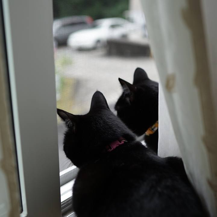 4a00c5ef d146 4f55 8731 5dd50b99664e 1560293141681