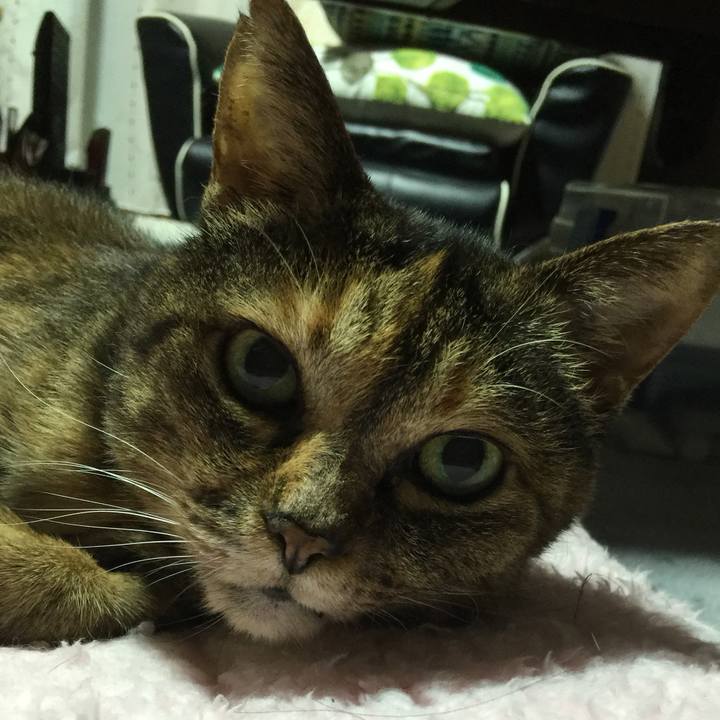 4a00ec90 b4ae 423e 8706 5dced88c205b 1559948787875