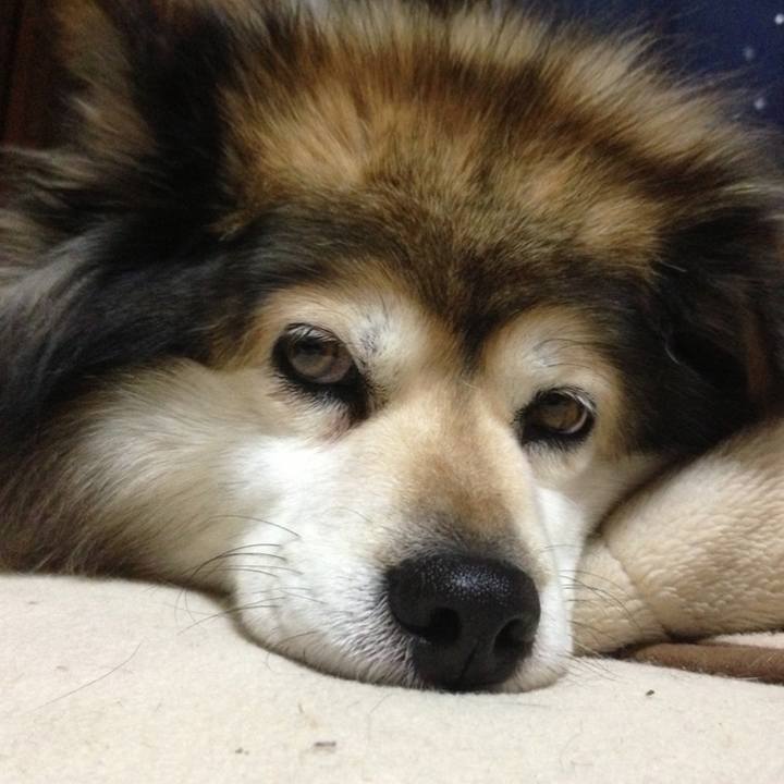 4a0103b1 fe58 448d a93a 73747f4b6574 1603897927512