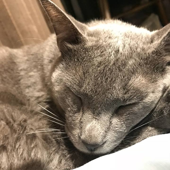 4a010696 82a1 4aef 97a9 77ed9d03bc2f 1509196335924