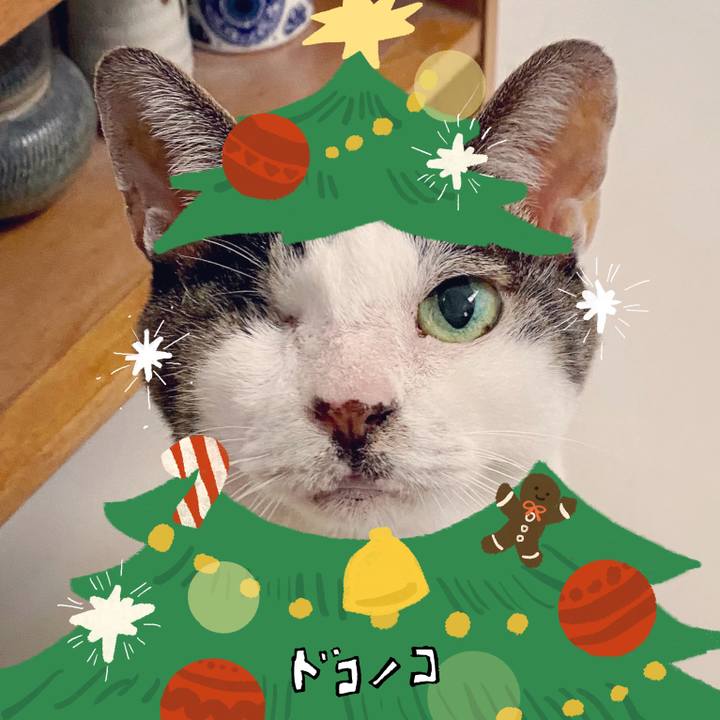 4a011968 fa4a 461e 9ffc f0fa0090162a 1761132485759