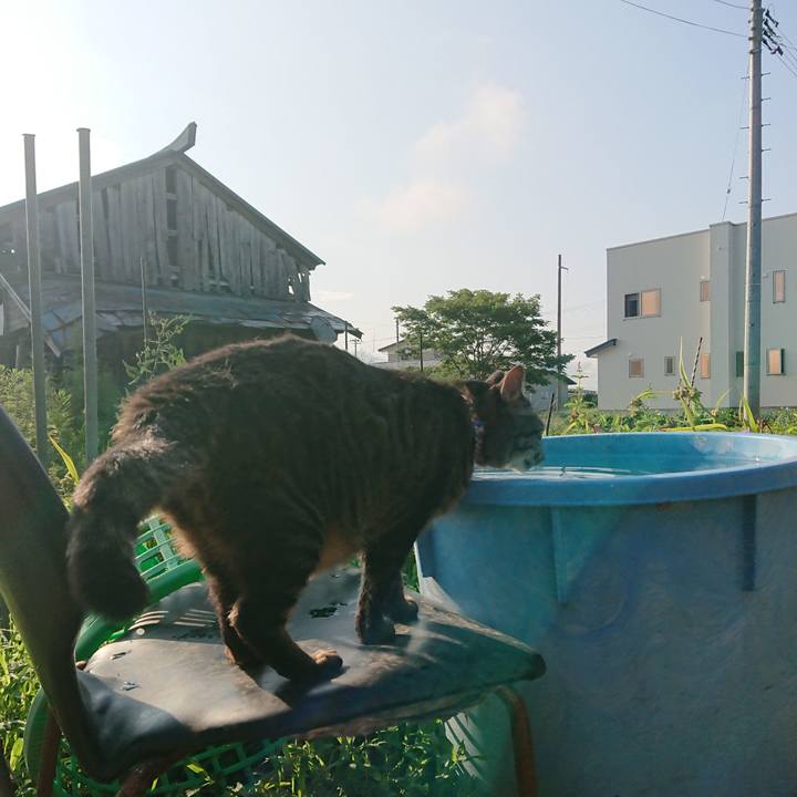 4a011c26 5d3d 48fe b8ef 90b2656302b4 1659824995193