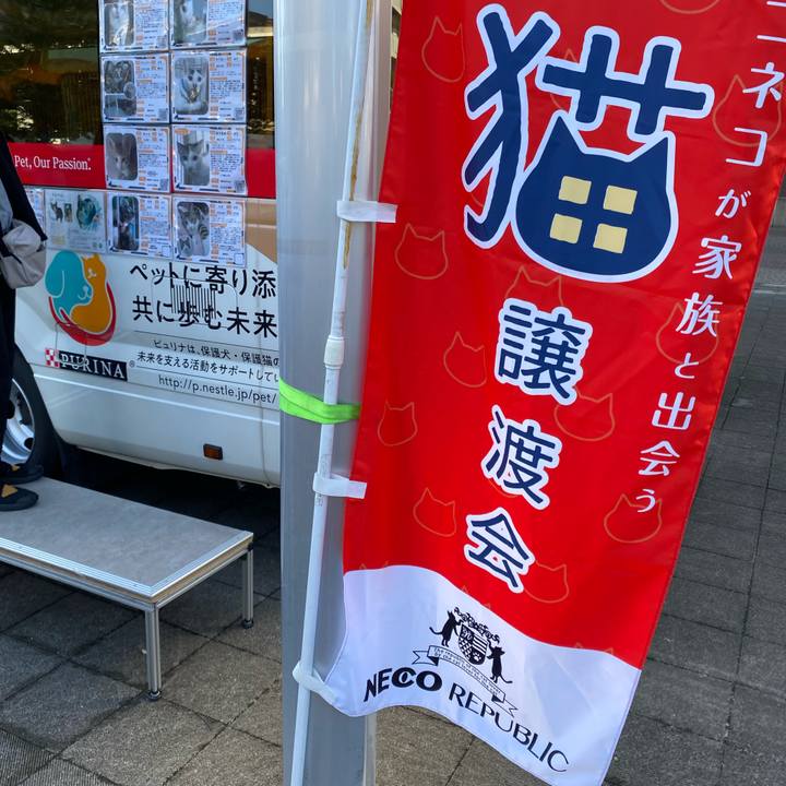 4a0124a5 b135 4d28 865e 83ddbd23de0f 1730600488884