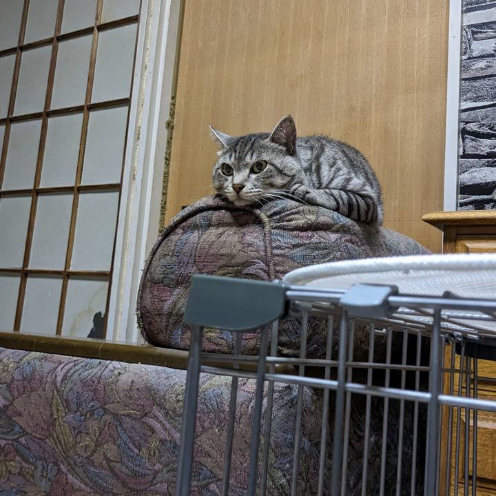 4a0155ca 8754 43cc 81d3 8ef9495b365d 1695383566938