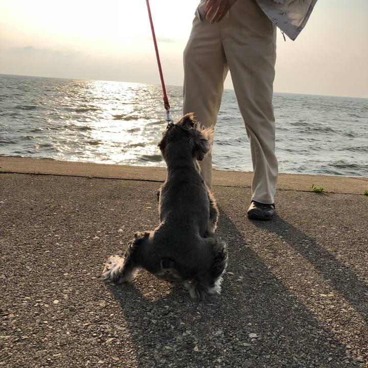 4a01601d d766 4b95 b2de 523ced0f8c32 1529572440433