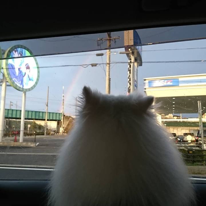 4a018834 b1ad 4819 8563 512ec7367c8f 1584267161904