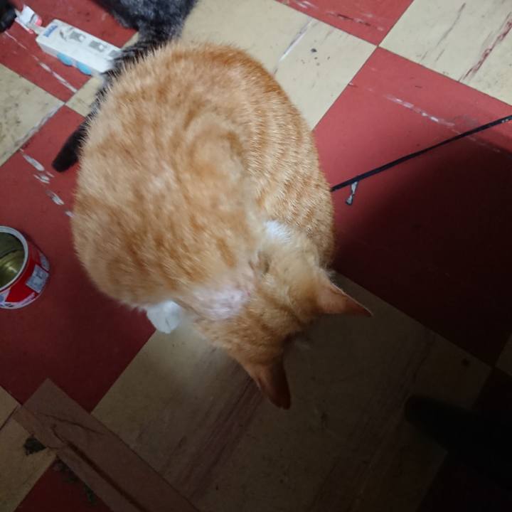 4a018d06 37b4 483f ae47 4cb8b724b5c6 1558038258762