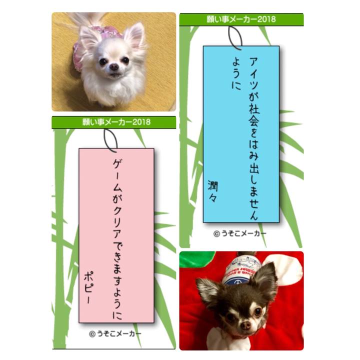 4a019021 ccd8 4662 852b 833f669bffb6 1530967855070