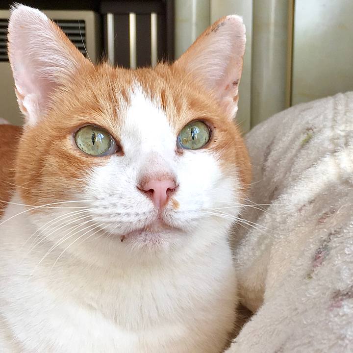 4a01a126 42ab 498c b530 4f9687d7c3b3 1577697048113