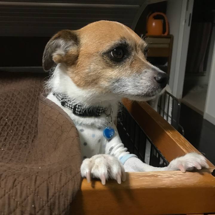 4a01c79b 469e 41b9 8991 d7dff88fe105 1515537812470