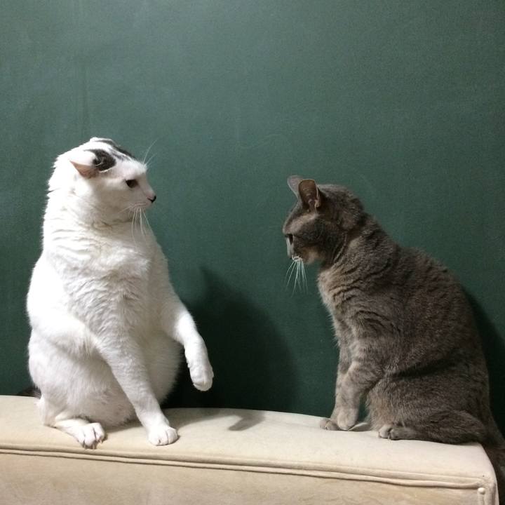 4a01ddba bd0f 46eb 9a55 39632b15fd17 1535330095065