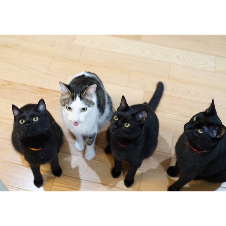 4a01e51a a83e 4c4a 88a7 03d3f4a5b87d 1523921168469