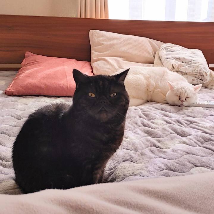 4a01ea7c 41d5 49cc a452 1ec58260e72e 1640837801986