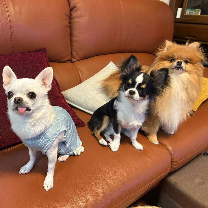 4a01fc71 c062 4d42 9a23 83b1e45ff344 1762644941040