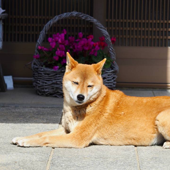 4a01fe7b 43d9 4be6 8320 138c91d3c09c 1771814765915