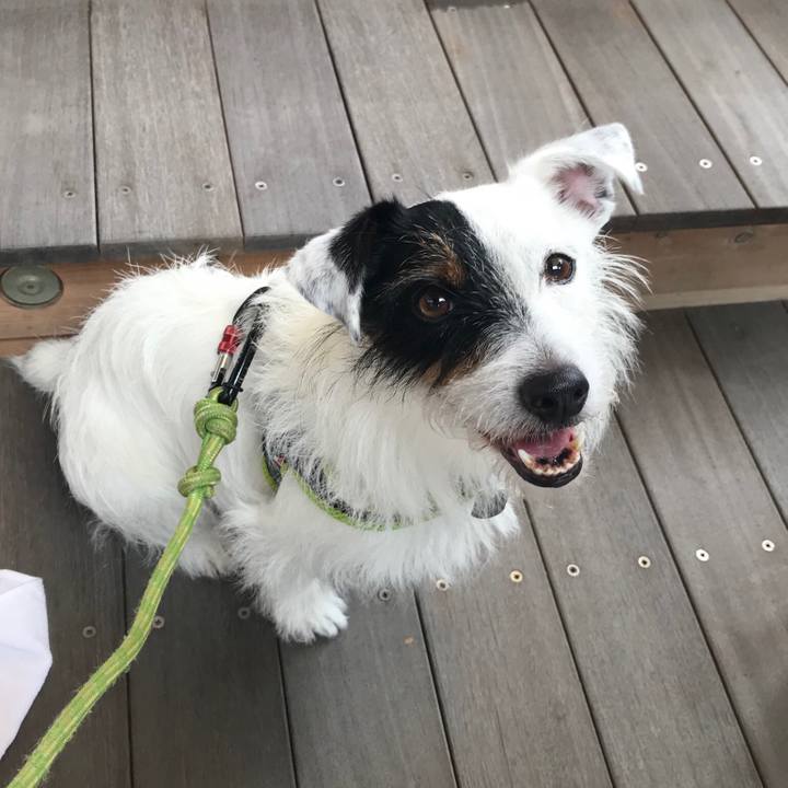 4a0204b6 5333 4eb5 9d98 91a788eccc1c 1531715061194