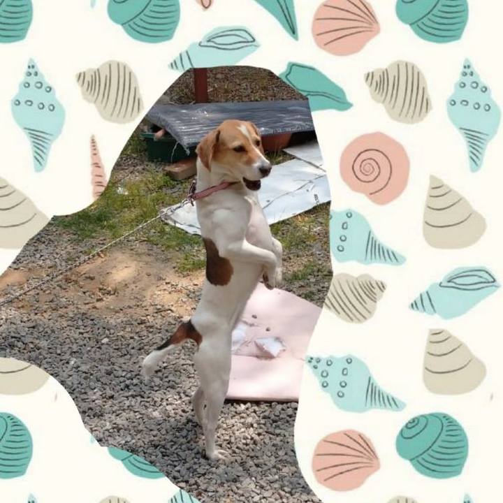 4a021dab afc7 408b aded 330990e1493f 1587867736850