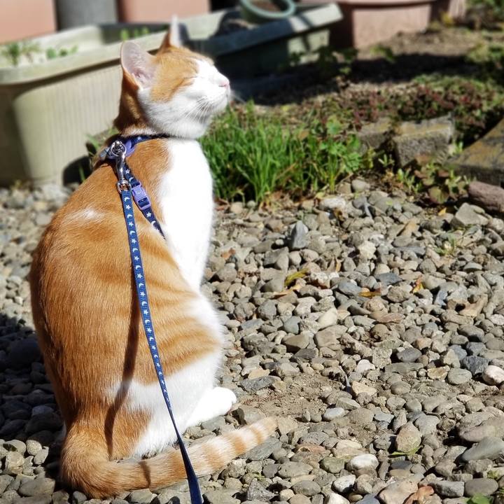 4a027756 09b9 4a48 bf49 fe26af92dcf1 1541223411236