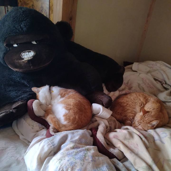 4a02b248 0ade 48ce 9baf fd930e7728c7 1768286752142