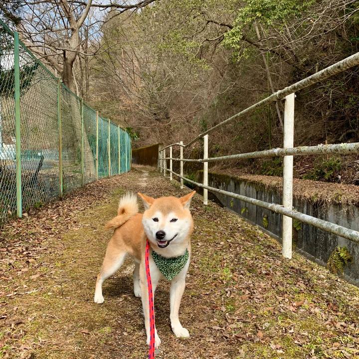 4a02b63d 1df6 4da7 9625 70add508dbc2 1646209854575