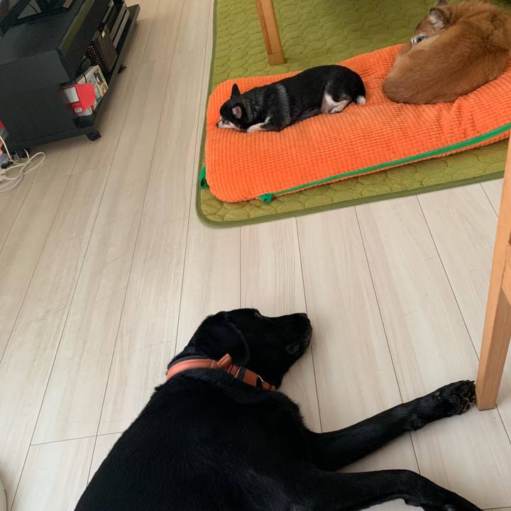 4a02ba4e e653 4831 8396 c283168b1305 1660611087845