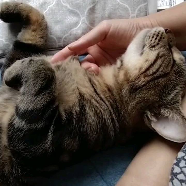 4a02e991 f959 4629 b842 869c74089955 1696145457480