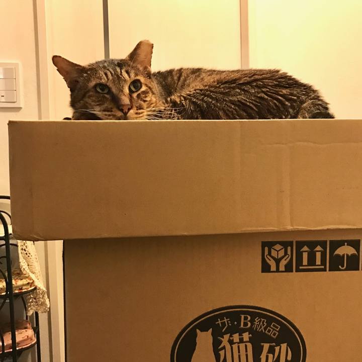 4a0307df cf41 4973 91d4 028ba4e7eb1c 1575348369292