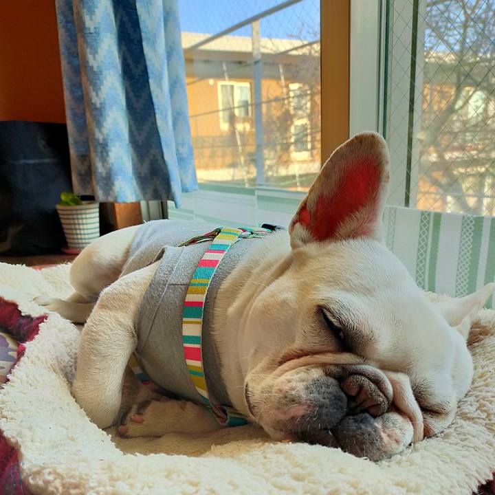 4a03a361 e2e7 4a3b bce7 a45b24bd5698 1646349004791