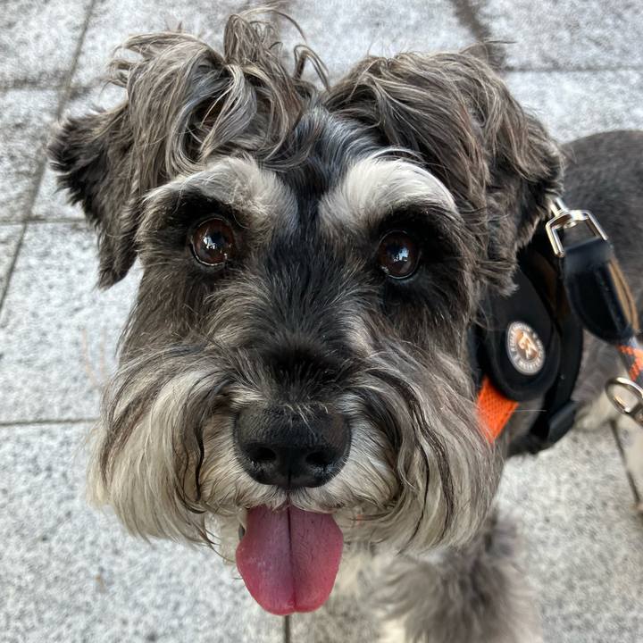 4a03b931 76f4 42c2 83f5 68bc77b6d478 1724446425944