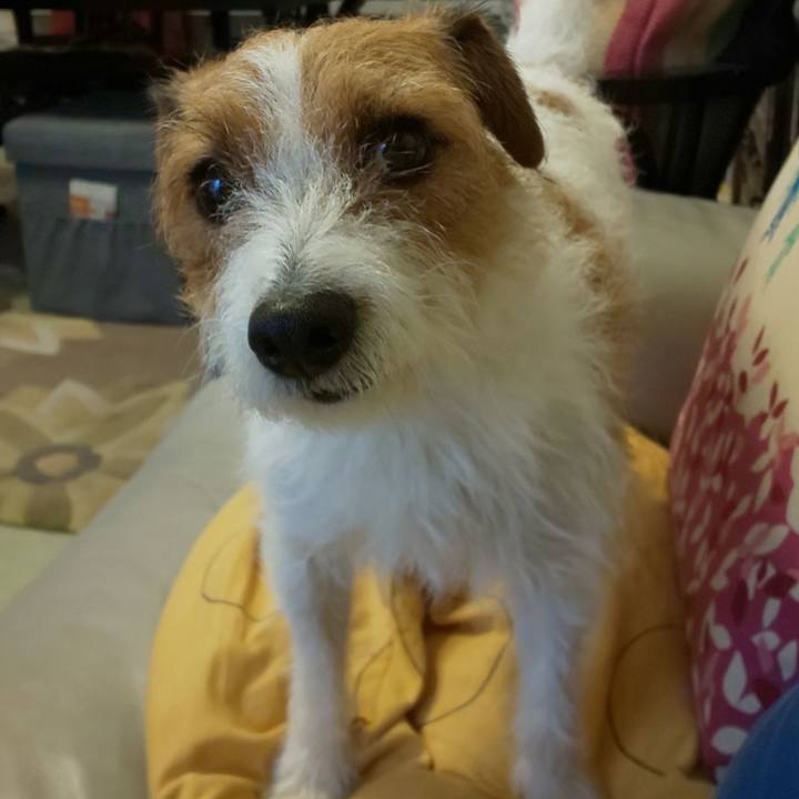 4a03c966 180f 4d4f 9745 0b8cdb89c40c 1574901669999