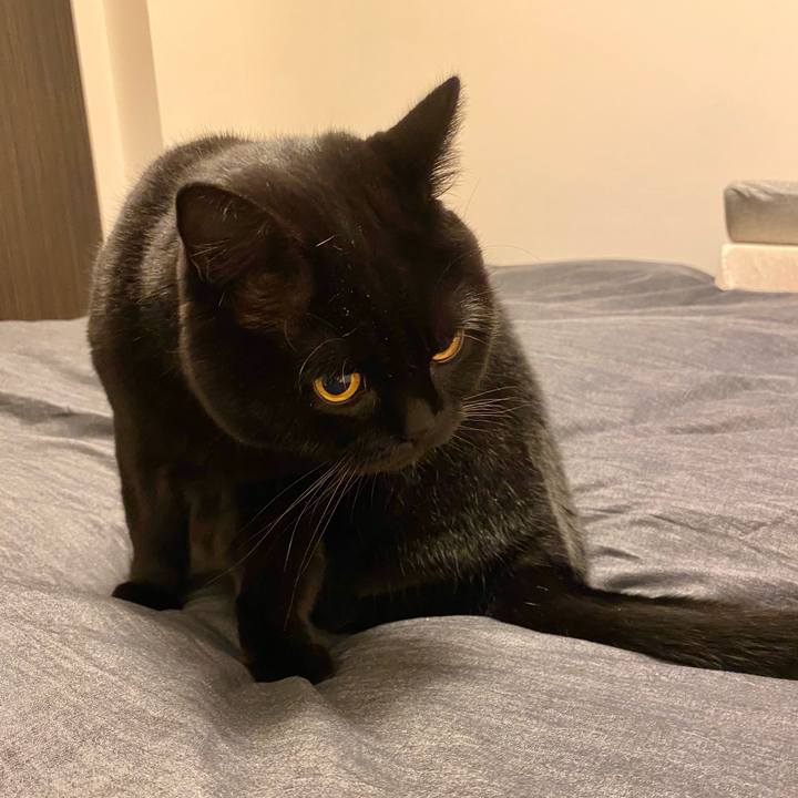 4a03d74b 74ce 4e9d bdd8 c1bff47fb9f5 1669554121457